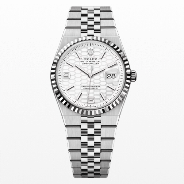 Rolex Land-Dweller 36