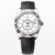 Sky-Dweller Oyster 42 mm white gold 336239